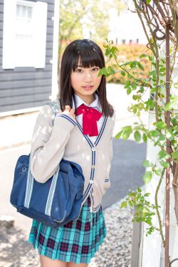 花蝴蝶4免费版大全多少集