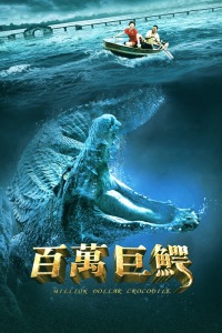 鸡毛飞上天电视剧全集观看免费